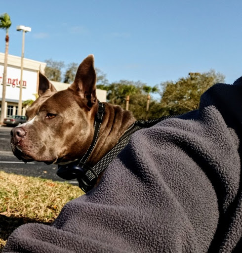 Pet Supply Store «PetSmart», reviews and photos, 1800 Evans Rd, Melbourne, FL 32904, USA