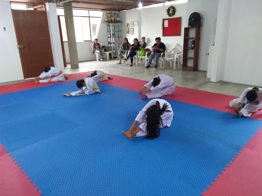 Club Paulo Viosu Karate