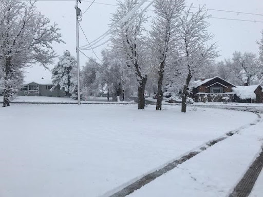 Storage «Ace Storage, Inc.», reviews and photos, 5829 W Louviers Ave, Littleton, CO 80125, USA