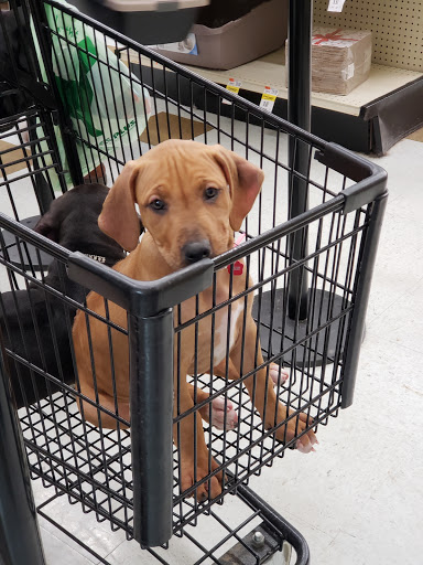 Pet Supply Store «Pet Supplies Plus», reviews and photos, 5394 Kemps River Dr Suite 101, Virginia Beach, VA 23464, USA