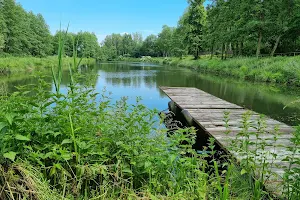 Rezerwat Rzeki Jeziorki image