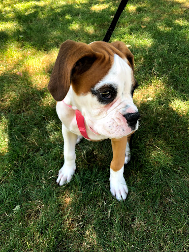 Pet Supply Store «Pet Loft», reviews and photos, 6333 SW Macadam Ave #104, Portland, OR 97239, USA