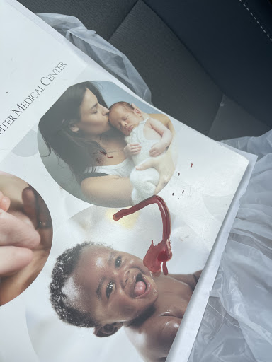 Pet Supply Store «Petco Animal Supplies», reviews and photos, 1753 St Lucie W Blvd, Port St Lucie, FL 34986, USA