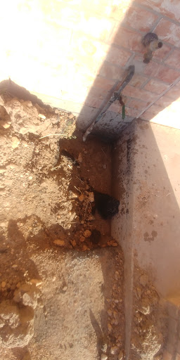 Car Repair and Maintenance «Midas», reviews and photos, 1150 S Commerce St, Harlingen, TX 78550, USA