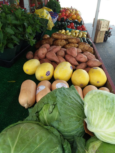 Produce Market «Crossroads Produce», reviews and photos, 10463-10487 S County Rd 39, Lithia, FL 33547, USA