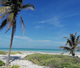 Playa El Cuyo photo
