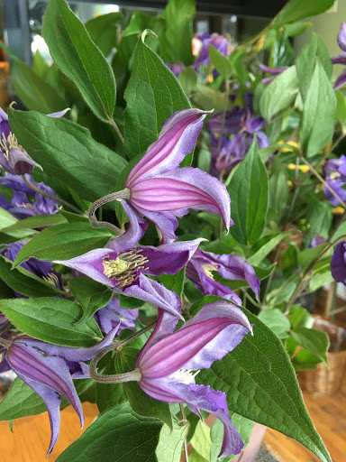 Florist «Flora Verdi», reviews and photos, 721 Princess St, Wilmington, NC 28401, USA