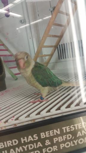 Pet Supply Store «Petco Animal Supplies», reviews and photos, 516 Valley Mall Pkwy, East Wenatchee, WA 98802, USA