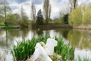 Brockwell Park Ponds image