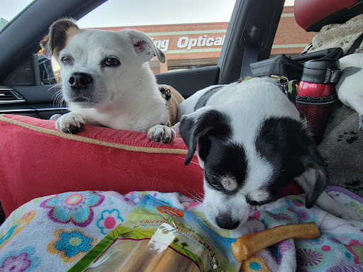 Pet Supply Store «Concord Pet Foods & Supplies», reviews and photos, 19287 Miller Rd, Rehoboth Beach, DE 19971, USA