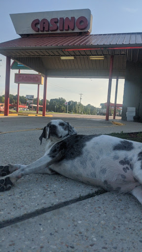 Casino «Cash Magic Silver Fox», reviews and photos, 40249 LA-16, Denham Springs, LA 70706, USA