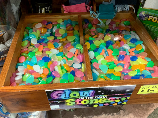 Toy Store «Science Safari Inc.», reviews and photos, 1255 Kildaire Farm Rd, Cary, NC 27511, USA