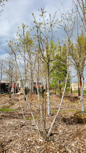 Lawn Mower Store «Central Jersey Nurseries Mower», reviews and photos, 18 Hamilton Rd, Hillsborough Township, NJ 08844, USA