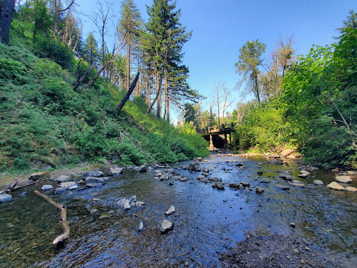 Waterfall «Horsetail Falls», reviews and photos, Historic Columbia River Hwy, Cascade Locks, OR 97014, USA