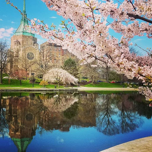 Art Museum «The Cleveland Museum of Art», reviews and photos, 11150 East Blvd, Cleveland, OH 44106, USA