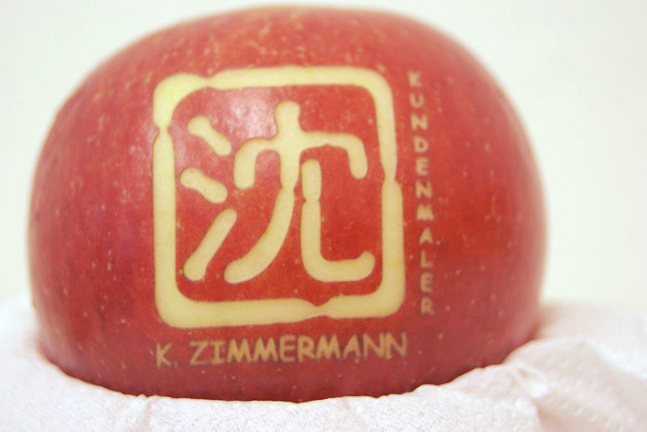 Zimmermann K. - Wil
