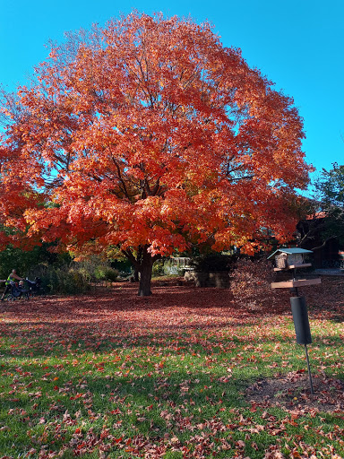 Nature Preserve «Grange Insurance Audubon Center», reviews and photos, 505 W Whittier St, Columbus, OH 43215, USA