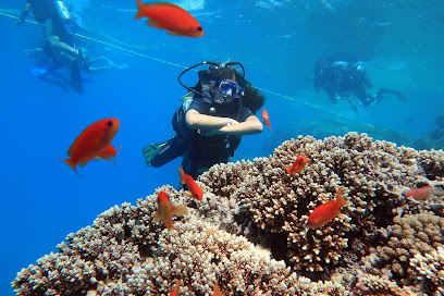 Seamax Sharm Dive Center