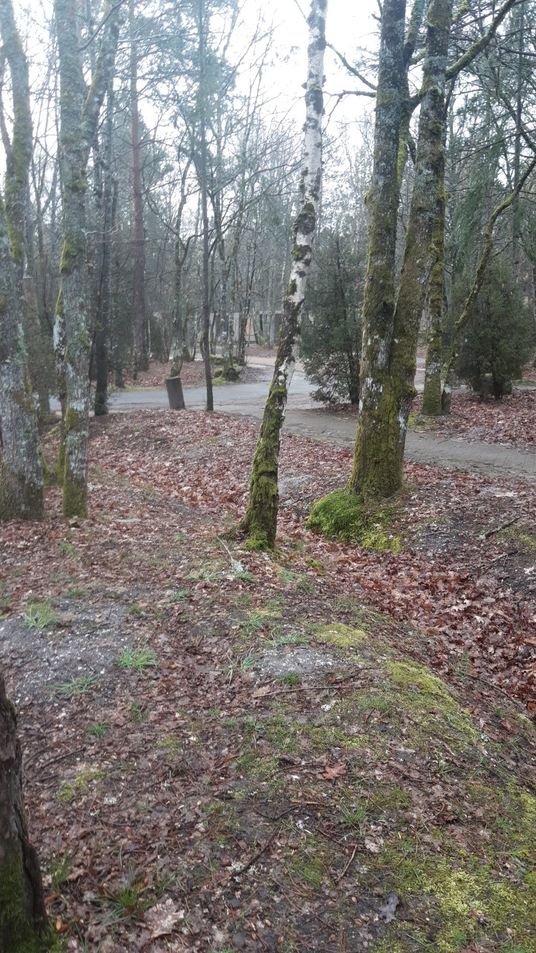 Photo n° 14 de l'avis de Hab.e fait le 07/04/2023 à 06:08