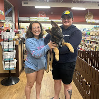 Petland Grove City - Photo 3 - Car repair in Grove City, OH, Columbus