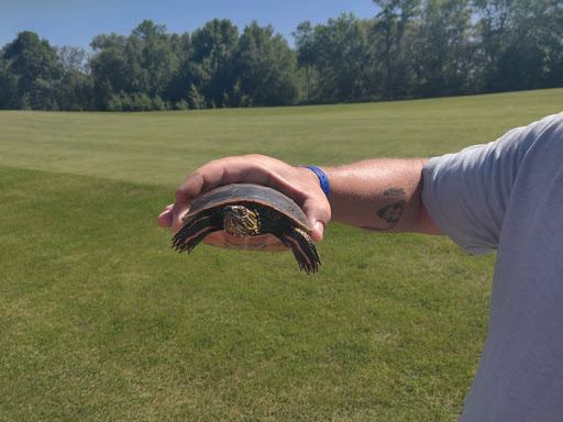 Golf Club «Lake Miltona Golf Club», reviews and photos, 3868 County Rd 5 NE, Alexandria, MN 56308, USA