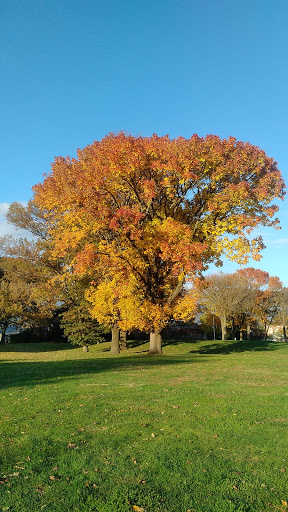 Golf Club «Dyker Beach Golf Course», reviews and photos, 1030 86th St & 7th Ave, Brooklyn, NY 11228, USA