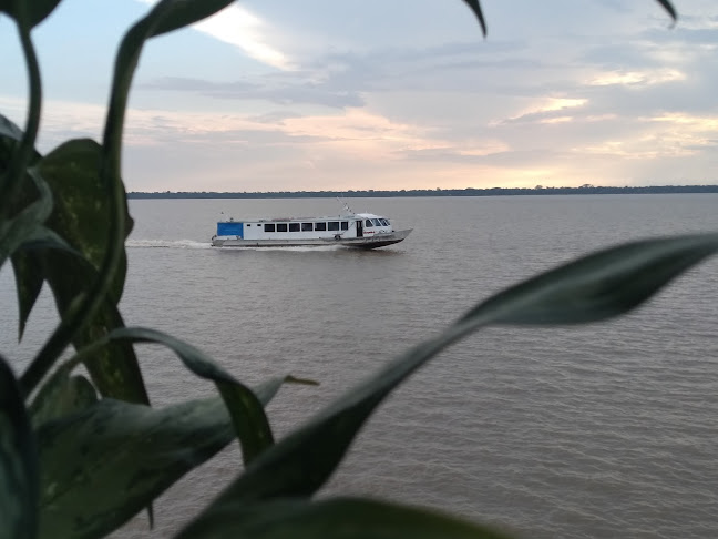 Número de telefone de As Amazonas Art Café