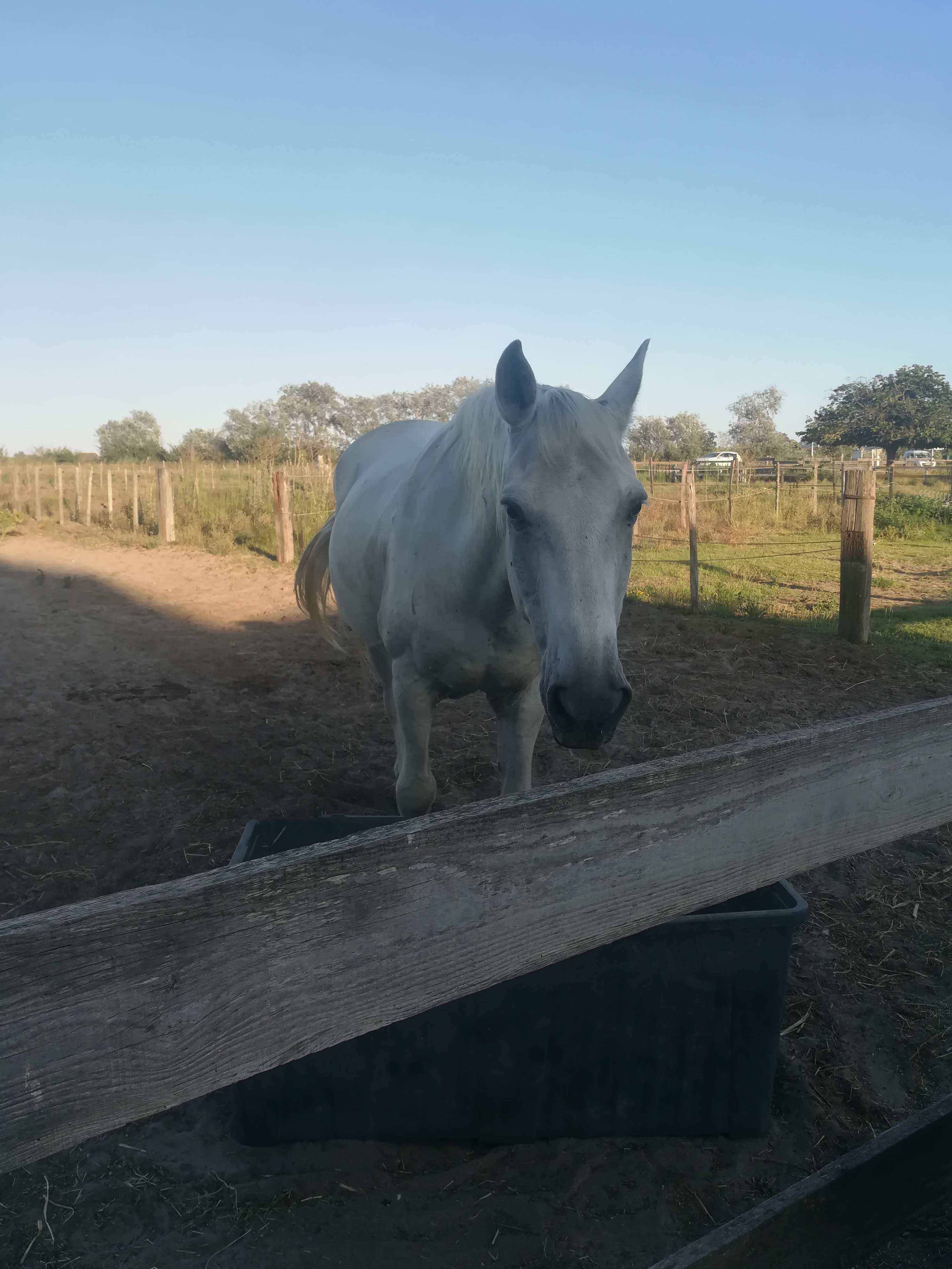 Photo n° 2 de l'avis de Michele.u fait le 22/08/2019 à 20:40