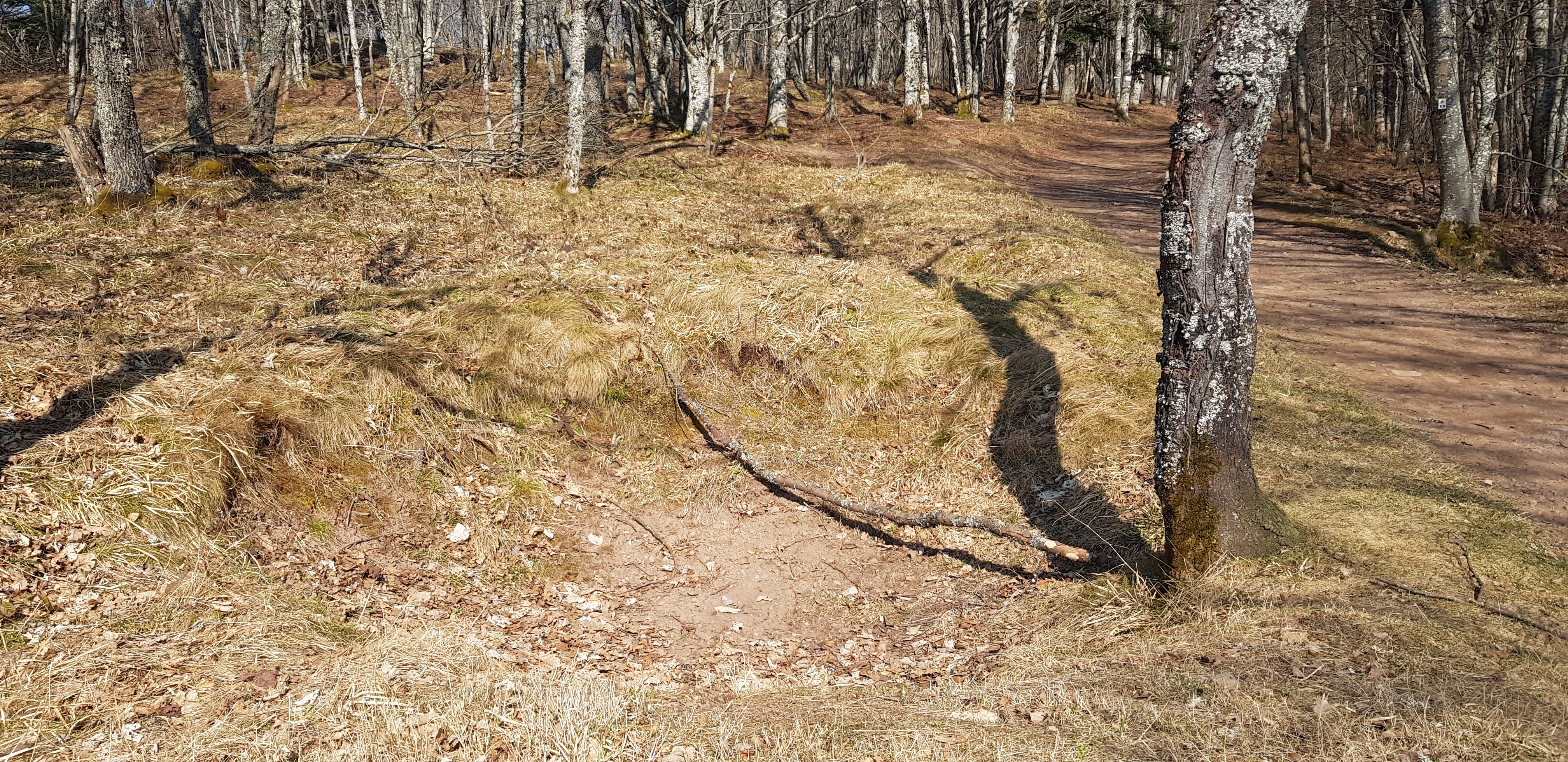 Photo n° 9 de l'avis de Alex.t fait le 22/03/2022 à 18:40