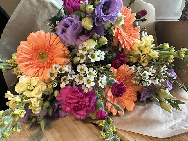 Barwy Natury Małgorzata Karolak