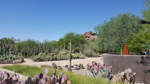 Botanical Garden «Desert Botanical Garden», reviews and photos, 1201 N Galvin Pkwy, Phoenix, AZ 85008, USA