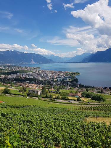 Rezensionen über Domaine Neyroud-Fonjallaz Jean- François - Vigneron / Encaveur AOC Grand cru chardonne in Bulle - Spirituosengeschäft