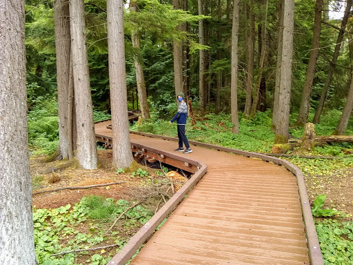 Park «West Hylebos Wetlands Park», reviews and photos, 411 S 348th St, Federal Way, WA 98003, USA