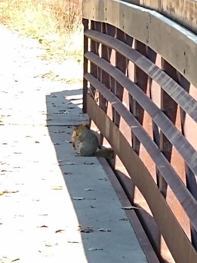 Park «Bear Creek Park», reviews and photos, 3550 S Raleigh St, Denver, CO 80236, USA