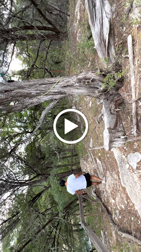 Discount Store «Dollar General», reviews and photos, 125 Carney Ln, Wimberley, TX 78676, USA