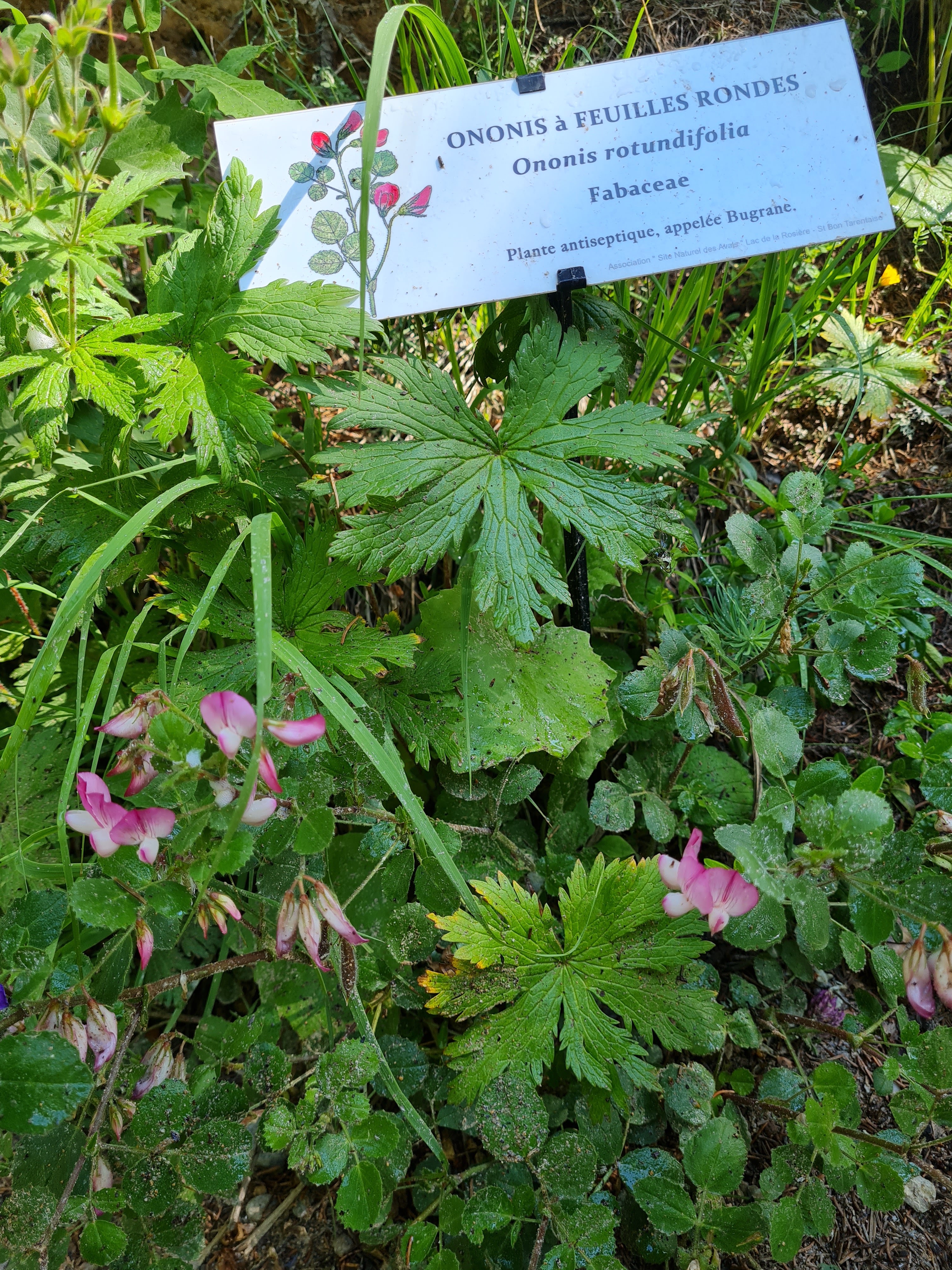 Photo n° 10 de l'avis de murielle.a fait le 13/07/2021 à 21:31
