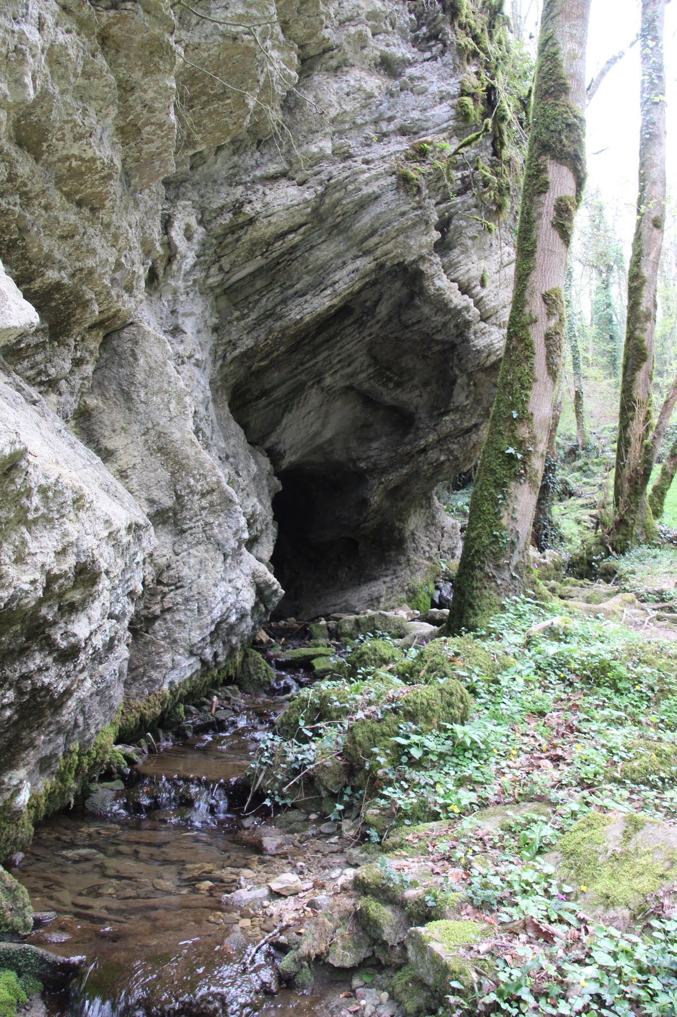 Photo n° 2 de l'avis de CHARTREUSE.4 fait le 11/04/2021 à 15:38