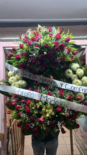 FLORERÍA ave del paraiso – Tecomán