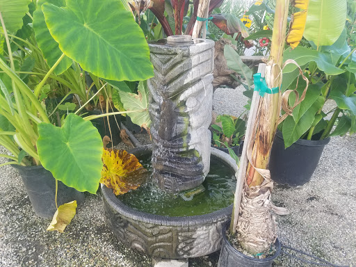 Garden Center «International Garden and Floral Design Center», reviews and photos, 155 N Sepulveda Blvd, El Segundo, CA 90245, USA