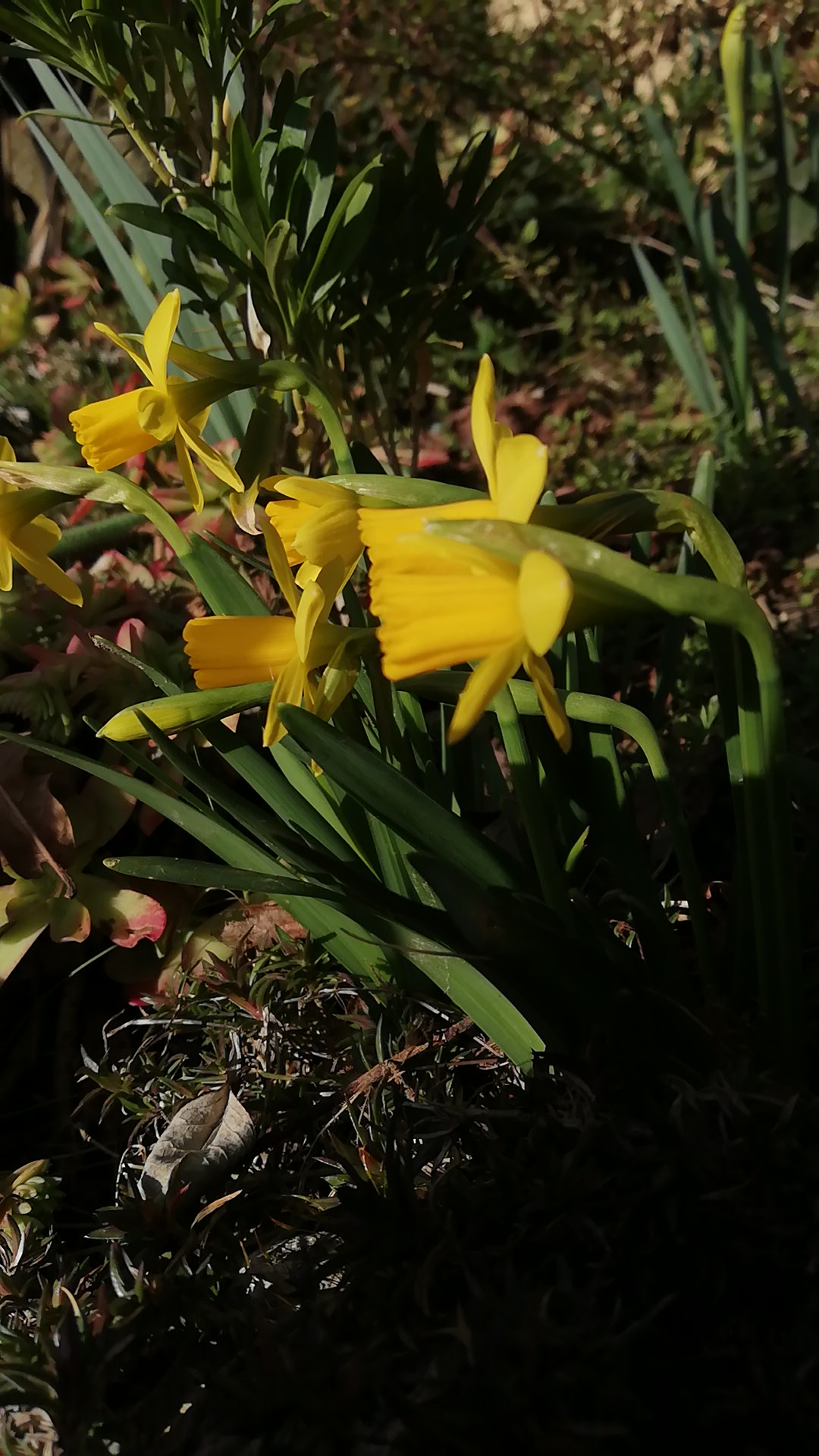 Photo n° 1 de l'avis de Lili.- fait le 22/02/2019 à 09:56