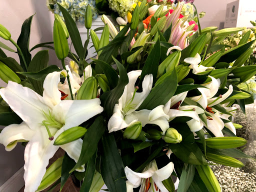 Florist «Roses Just Because/Hub Florist Of Lutz», reviews and photos, 18721 N Dale Mabry Hwy, Lutz, FL 33548, USA