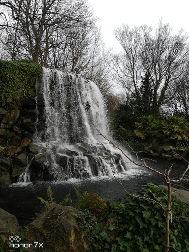 Waterfall Iveagh Gardens
