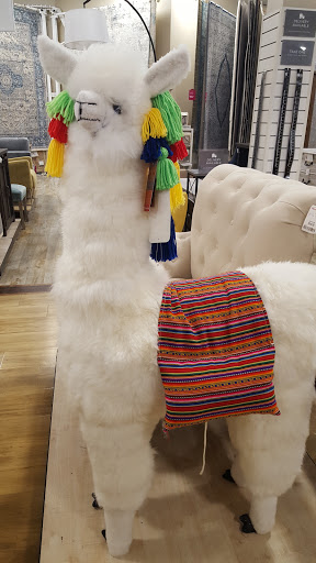 Department Store «HomeGoods», reviews and photos, 558 Seaboard St, Myrtle Beach, SC 29577, USA