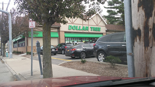 Dollar Store «Dollar Tree», reviews and photos, 250 Jericho Turnpike #80, Floral Park, NY 11001, USA