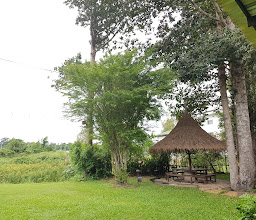 Wishing Tree Khon Kaen Resort photo