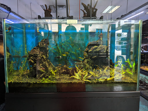 Fish Store «Aquatek Tropical Fish», reviews and photos, 8023 Burnet Rd # 1, Austin, TX 78757, USA