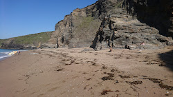 Photo de Nichols Cove avec plusieurs baies longues