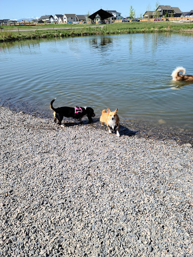 Animal Park «Dog Park At Gallatin County Regional Park (13 Acre w Pond)», reviews and photos, 3900 Baxter Ln, Bozeman, MT 59718, USA