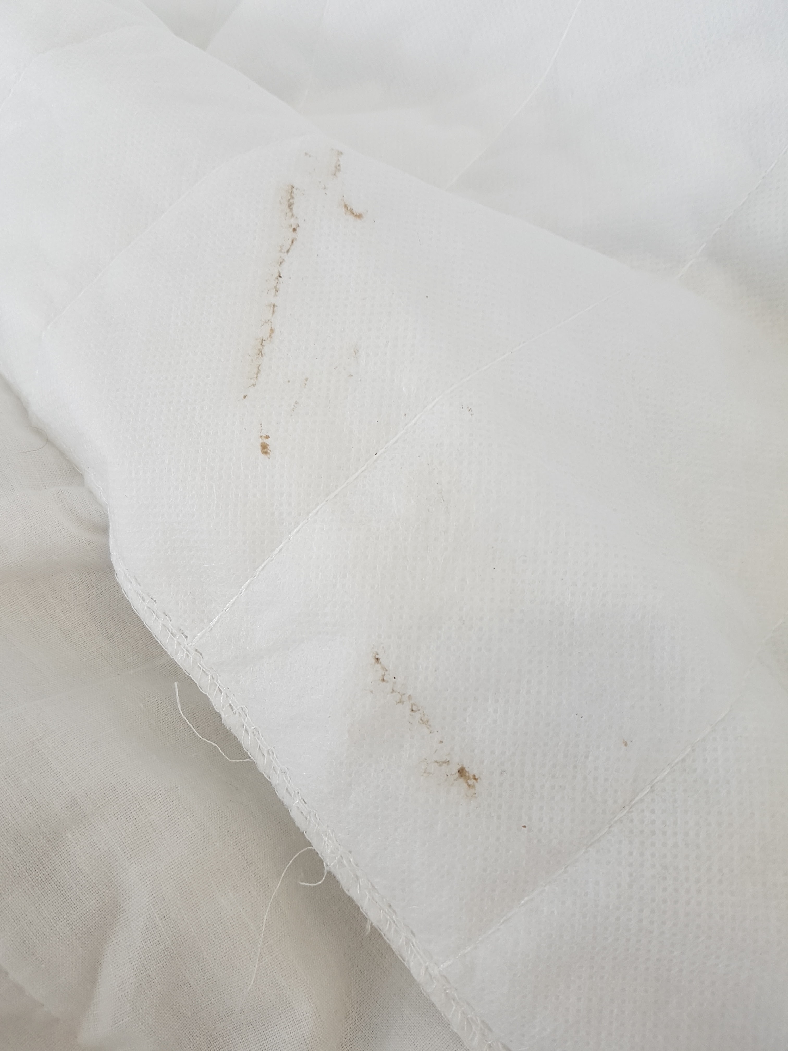 Photo n° 1 de l'avis de Louis.a fait le 27/10/2019 à 10:41