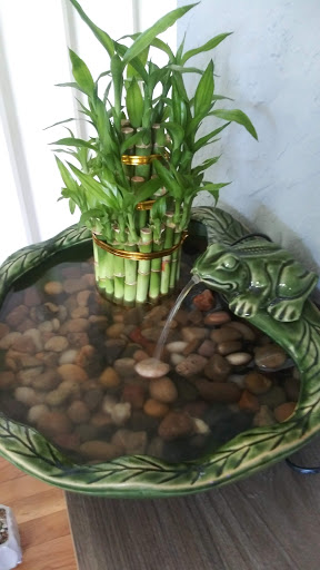 Florist «Thai-Rific Orchids Inc», reviews and photos, 5313 Gulfport Blvd S, Gulfport, FL 33707, USA